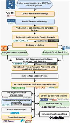 Genomic annotation for vaccine target identification and immunoinformatics-guided multi-epitope-based vaccine design against Songling virus through screening its whole genome encoded proteins